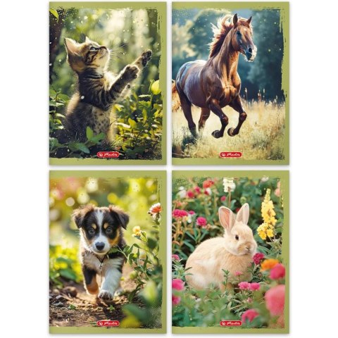 Zeszyt szkolny A4 32 kartki w kratkę 70g ANIMALS 95830089 HERLITZ Zeszyt szkolny A4 32 kartki w kratkę 70g ANIMALS 95830089 HERLITZ