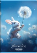 Zeszyt A5 32k 3linia kolorowa WONDERLAND 400196831 HERLITZ