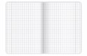 Zeszyt A5 80k kratka margines BIRDS EYE 400182446 TOP 2000