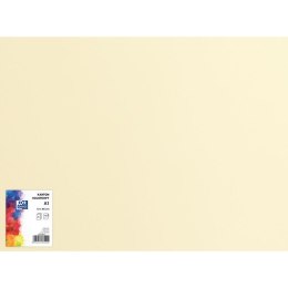 Blok karton kolorowy CREATINIO A1 160g 25 arkuszy nr.12 kremowy 400149521 TOP 2000