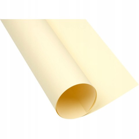 Blok karton kolorowy CREATINIO A1 160g 25 arkuszy nr.12 kremowy 400149521 TOP 2000 Blok karton kolorowy CREATINIO A1 160g 25 arkuszy nr.12 kremowy 400149521 TOP 2000
