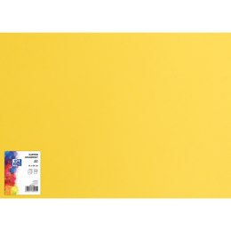 Blok karton kolorowy CREATINIO A1 160g 25 arkuszy nr.55 żółty 400149553 TOP 2000