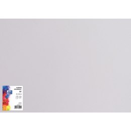 Blok karton kolorowy CREATINIO A1 160g 25 arkuszy nr.85 liliowy 400149562 TOP 2000