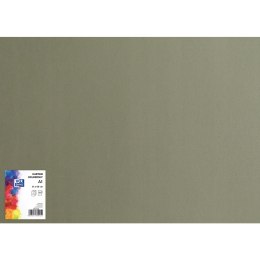 Blok karton kolorowy CREATINIO A1 160g 25 arkuszy nr.98 ciemny szary 400149524 TOP 2000