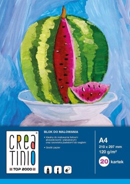 Blok do malowania A4 20 kartek rysunkowy 120g biały 400079858 CREATINIO