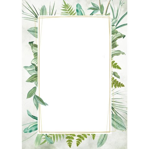 Dyplom A4 BOTANIC 170g. (25ark.) 219617 Galeria Papieru Dyplom A4 BOTANIC 170g. (25ark.) 219617 Galeria Papieru