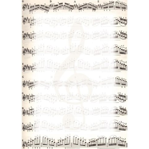 Dyplom A4 NUTY 170g. (25ark.) 213317 Galeria Papieru Dyplom A4 NUTY 170g. (25ark.) 213317 Galeria Papieru