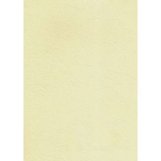 Karton wizytówkowy A4 skórka ecrue 185g. (20ark.) W87 KRESKA Karton wizytówkowy A4 skórka ecrue 185g. (20ark.) W87 KRESKA