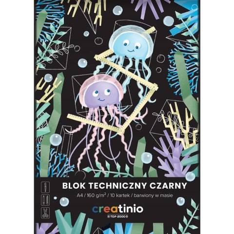 Blok techniczny szkolny A4 czarne kartki 10 kartek 160g 400176681 TOP 2000 Blok techniczny szkolny A4 czarne kartki 10 kartek 160g 400176681 TOP 2000