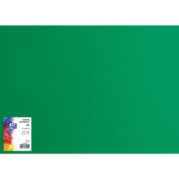 Blok karton kolorowy CREATINIO A1 160g 25 arkuszy nr.63 zielony 400149561 TOP 2000