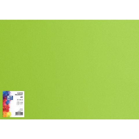 Blok karton kolorowy CREATINIO A1 160g 25 arkuszy nr.66 jasny zielony 400149557 TOP 2000 Blok karton kolorowy CREATINIO A1 160g 25 arkuszy nr.66 jasny zielony 400149557 TOP 2000