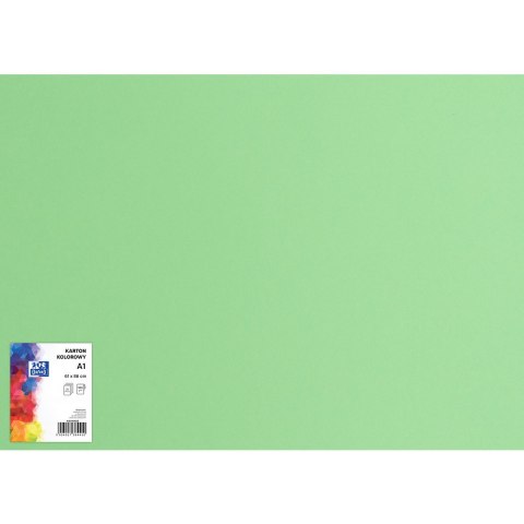 Blok karton kolorowy CREATINIO A1 160g 25 arkuszy nr.69 zielony 400149556 TOP 2000 Blok karton kolorowy CREATINIO A1 160g 25 arkuszy nr.69 zielony 400149556 TOP 2000