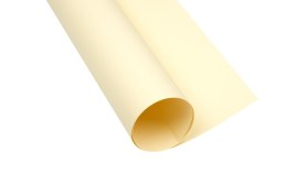 Blok karton kolorowy CREATINIO B1 225g 25 arkuszy nr.12 kremowy 400150252 TOP 2000
