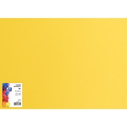 Blok karton kolorowy CREATINIO B1 225g 25 arkuszy nr.55 jasny żółty 400150264 TOP 2000