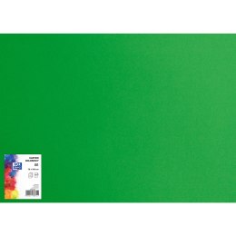 Blok karton kolorowy CREATINIO B1 225g 25 arkuszy nr.68 jasny zielony 400150268 TOP 2000
