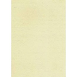 Karton wizytówkowy A4 KRESKA 246g (20 arkuszy) W45 tapeta ecrue