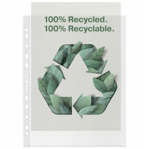 Koszulka groszkowa A4 Recycled Premium PP 70 mic. opakowanie 50sztuk Maxi 627502 ESSELTE Koszulka groszkowa A4 Recycled Premium PP 70 mic. opakowanie 50sztuk Maxi 627502 ESSELTE