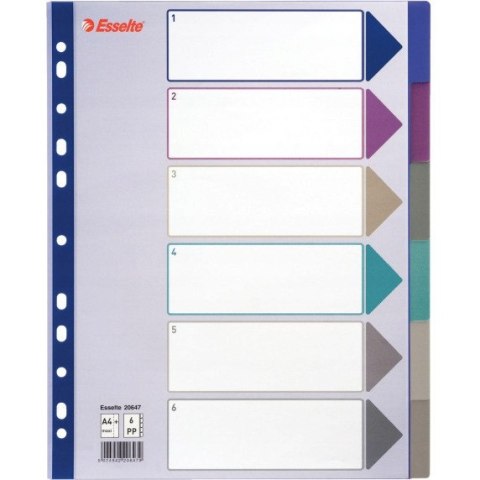 Przekładka PP A4 MULTICOLOR 6 kart 20647 MAXI ESSELTE Przekładka PP A4 MULTICOLOR 6 kart 20647 MAXI ESSELTE