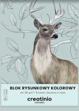 Blok rysunkowy szkolny A4 kolorowy 10 kartek 80g CREATINIO 400176665 TOP 2000